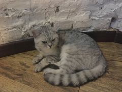 -不舍昼夜咖啡馆