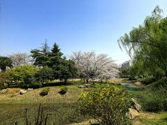 -堤角公园