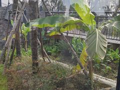 -武汉动物园