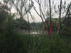 -天鹅湖体育公园