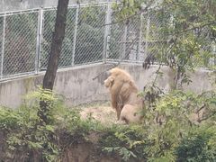 -石家庄市动物园