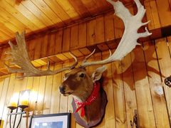 -VIKING SALOON西部美式烟熏烤肉(和平路店)