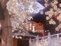 -灵谷景区