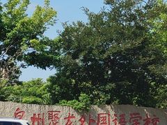 -聚龙小镇