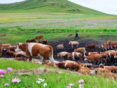 -库伦旗银沙湾旅游景区