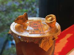 好运发财水-小龙翻大江文化火锅(宽窄店)