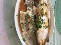 清蒸白鱼-沙奶奶土灶馆•地道农家菜(沙家浜景区店)