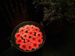 -花马天堂云南餐厅 Lost Heaven(高邮路店)