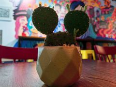 -Mesa Madre梅萨妈妈·Bintana(国贸店)