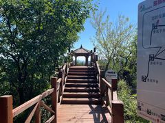 -大岭沟猕猴桃谷风景区