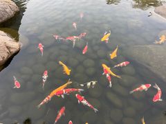 -罗红摄影艺术馆