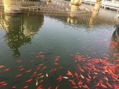 -威海华夏城景区