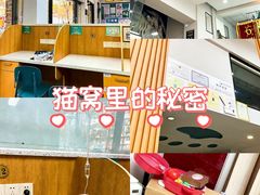 -联合动物医院(光谷诊疗中心)