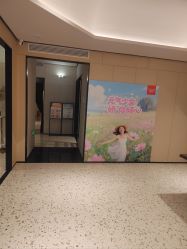 -娇莉芙美颜SPA连锁