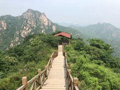-大岭沟猕猴桃谷风景区