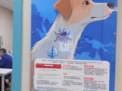 -北京观赏动物医院·24小时大型综合·猫专科·异宠专科