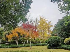 -杭州城北体育公园
