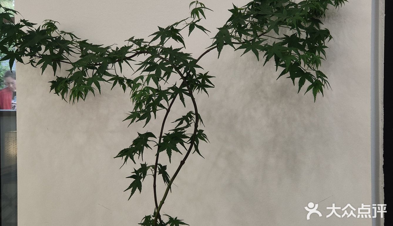 茉莉咖啡拿铁鸳鸯[色]