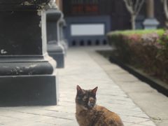 -平安桥天主教堂