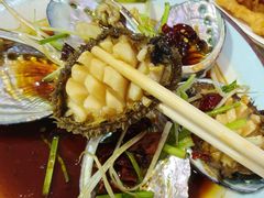 油泼鲍鱼-天伦海鲜·老味道·青岛菜(栈桥天主教堂店)