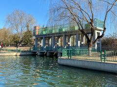 -大兴滨河森林公园