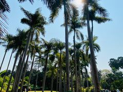 -中国科学院西双版纳热带植物园