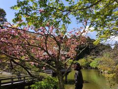 -成田山新胜寺