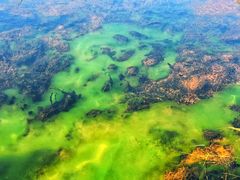 -五营红松林海景区