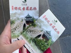 -莲池书院博物馆