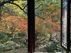 -中国茶叶博物馆(双峰馆区)