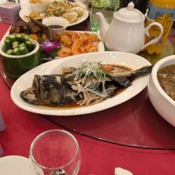 -陶然花园·婚宴