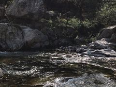 -沣峪口