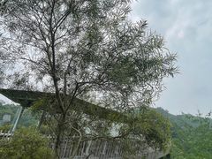 -福道