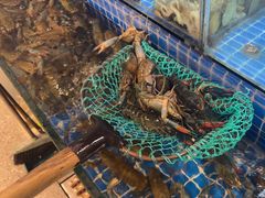 -星记小馆·小蓝龙·老南京砂锅菜(上海路店)