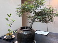 -元古本店(南锣鼓巷店)