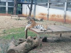 -昆明动物园