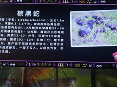 -顺德南宏海立方海洋公园