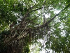-中山纪念堂