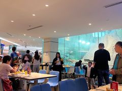 -帝企鹅自助餐厅•儿童岛•真企鹅(长隆企鹅酒店)