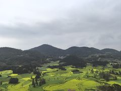 -牛街螺丝田
