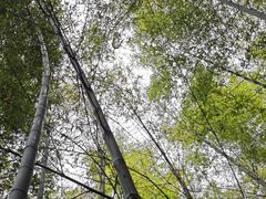 -鸡枕山