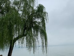 -东钱湖小普陀景区