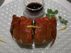 -西郊5号·Maggie 5