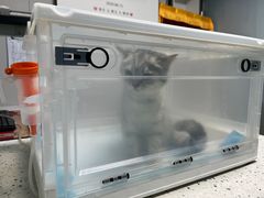 -半岛宠物医院24小时(科华中路店)