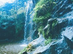 -少华山国家森林公园