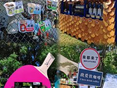 -陆家嘴中心绿地