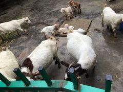 -南昌动物园