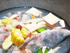 -鲜潭蒸汽石锅鱼(五道口购物中心店)