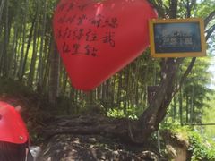 -将军关探险漂流