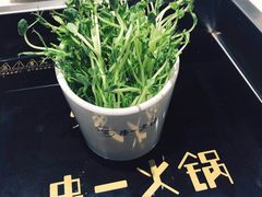 -串一火锅(赛格国际购物中心店)